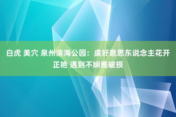 白虎 美穴 泉州滨海公园：虞好意思东说念主花开正艳 遇到不娴雅破损