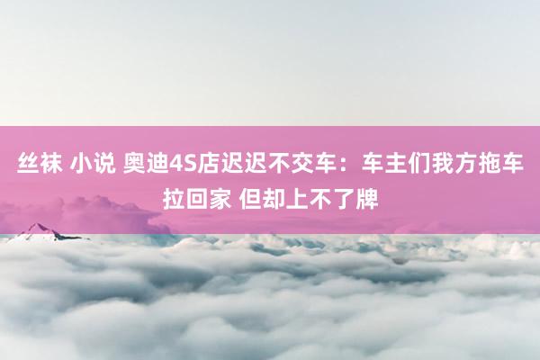 丝袜 小说 奥迪4S店迟迟不交车：车主们我方拖车拉回家 但却上不了牌