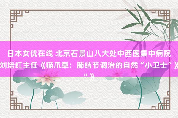 日本女优在线 北京石景山八大处中西医集中病院刘培红主任《猫爪草：肺结节调治的自然“小卫士”》