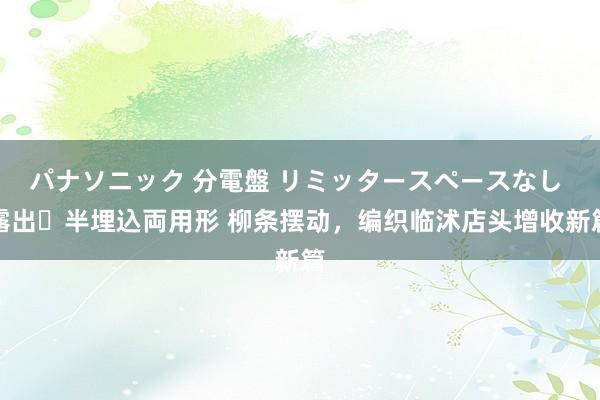 パナソニック 分電盤 リミッタースペースなし 露出・半埋込両用形 柳条摆动，编织临沭店头增收新篇
