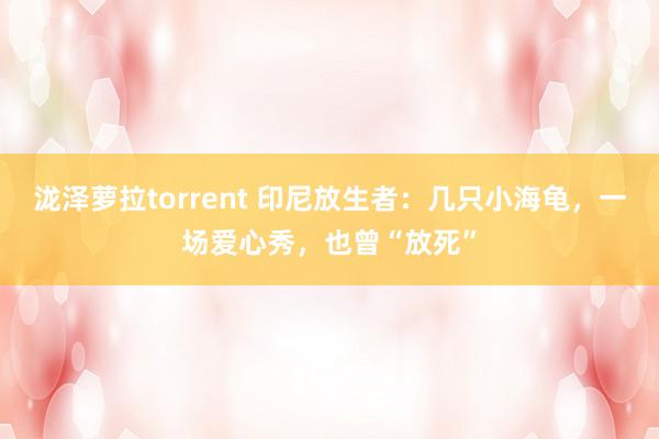 泷泽萝拉torrent 印尼放生者：几只小海龟，一场爱心秀，也曾“放死”