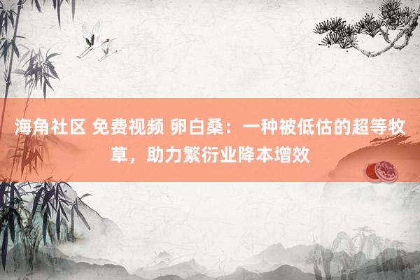 海角社区 免费视频 卵白桑：一种被低估的超等牧草，助力繁衍业降本增效