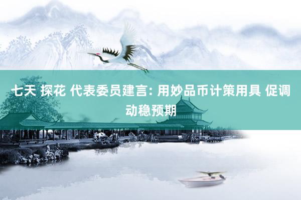 七天 探花 代表委员建言: 用妙品币计策用具 促调动稳预期