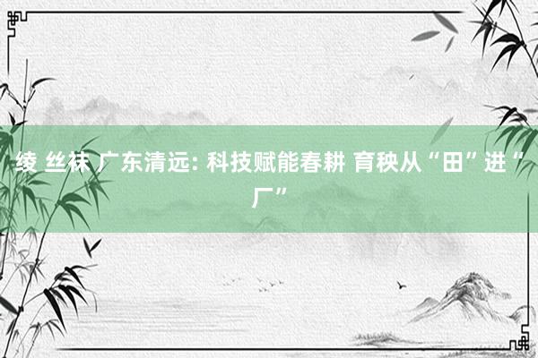 绫 丝袜 广东清远: 科技赋能春耕 育秧从“田”进“厂”