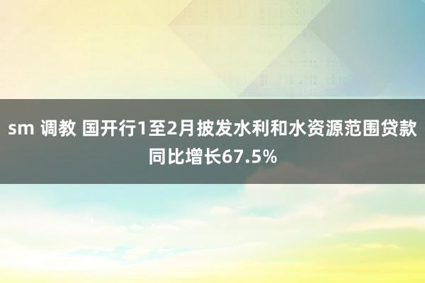 sm 调教 国开行1至2月披发水利和水资源范围贷款同比增长67.5%