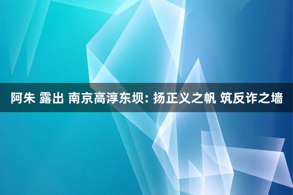 阿朱 露出 南京高淳东坝: 扬正义之帆 筑反诈之墙